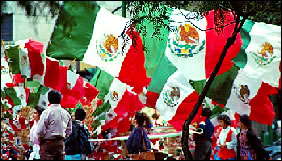 Your Rights as a Foreigner in Mexico 