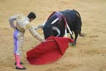 Bull Fighting in Tijuana