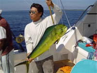 San Carlos Fishing
