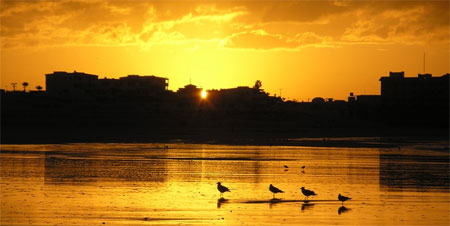 Rocky Point Mexico