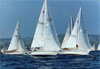 Newport to Ensenada Sail Race