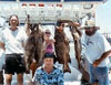 Boat and Fishing Charters in Rocky Point Mexico