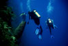 Scuba Diving and Snorkeling