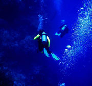 San Carlos Scuba Diving 